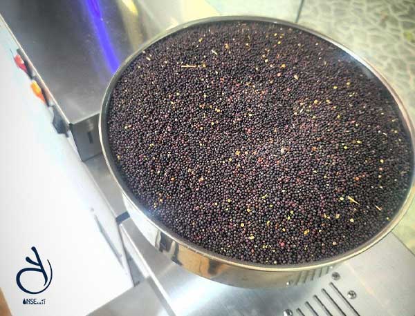 فرایند روغنگیری روغن کانولا از دانه کلزا در محصولات ارگانیک آنسه