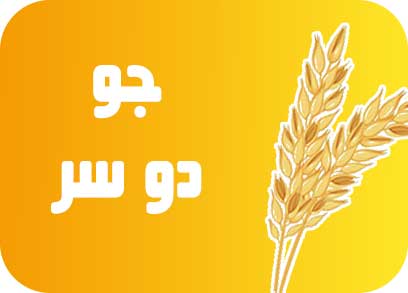 جو دو سر آنسه
